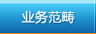 业务范畴